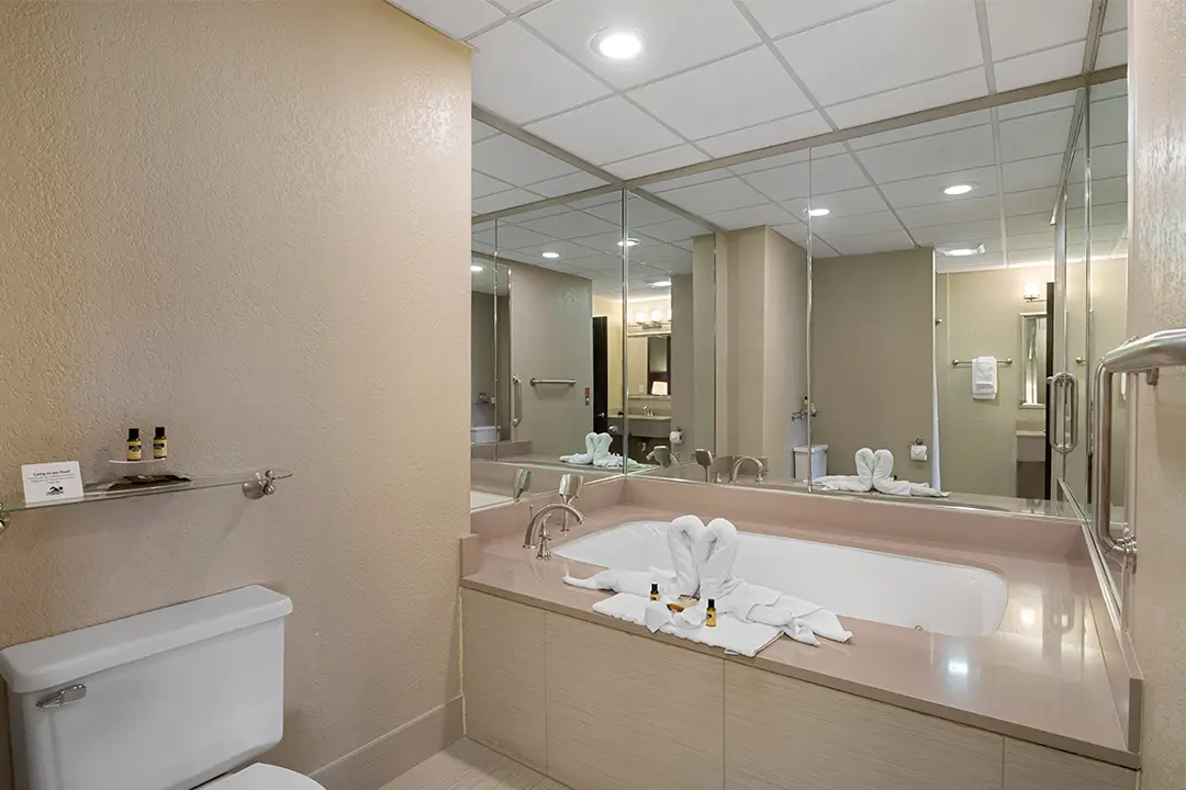 Presidential King Suite Bathroom - Antioch Hotel & Suites